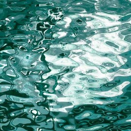 Spectrum Glass 8 X10 Spectrum SC 528-1W SilverCoats Mirror: "TreeFoil"