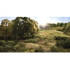 Woodland Scenics Clump Foliage 57.7 Cubic Inches-Light Green
