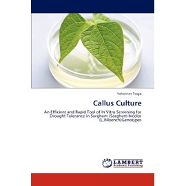 Callus Culture: An Efficient and Rapid Tool of In Vitro Screening for Drought Tolerance in Sorghum (Sorghum bicolor (L.)Moench)Genotypes