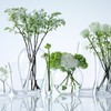 LSA Flower Garden Posy Flower Base (花器) Height 13 cm Clear