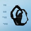 Best Pet Supplies Voyager Step-In Lock Pet Harness - All