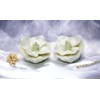 CG 20730 2.5" Painted White Layered Petals Gardenia Salt and