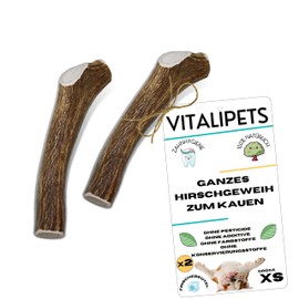 VITALIPETS Deer Antlers for Dogs Size XS Miniature Dogs and Puppies Pack of 2 Natural Teeth Cleaning Long-Lasting Chewing Fun 100% Natural Mineral Source Stress Relief