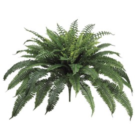 One 32 Inch Long Silk Artificial Boston Fern Bush 50 Inch Spread Plant 90 Branches