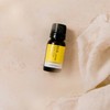 ECO. Modern Essentials Ylang Ylang Pure Essential Oil, 10ml