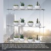 ZerzSemp 2-Pack Hanging Acrylic Plant Shelves for Windows, Each Tier