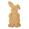 Staedter Embossing Rabbit Boy Cookie Cutter, Silver