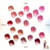 Laka Fruity Glam Tint #108 Salty Lip Color, Genuine Japanese