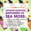 B BEWORTHS Sea Moss Liquid Drops - Irish Sea Moss