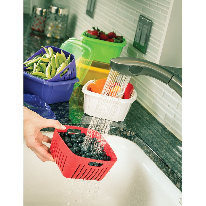Fruit Saver 3 in 1 Berry Box-Red and Stainless steel