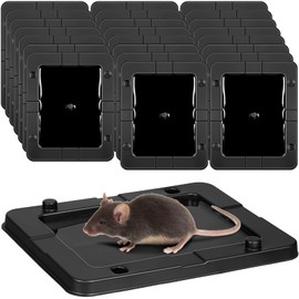 Qualirey 24 Pack Mouse Insect Glue Traps Bulk Strong Sticky Mouse Traps Large Baited Glue Trays for Mice Snakes Indoor Rodent Killer Plastic Sticky Non Toxic Killer for Home Indoor Outdoor