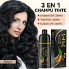 Kaisasa Shampoo Cubre Canas Tinte Instantaneo Para Canas，shampoo cubre canas，shampoo