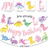 Dinosaur Birthday Party Banners Dinosaur Birthday Party Decorations for Girls