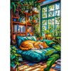 AIRDEA Orange Cat Bookshelves Acrylic Full Drill Diamond Painting Kits