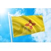 DMSE New Mexico State Flag 3X5 Ft Foot 100% Polyester