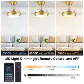 STERREN 30" Retractable Ceiling Fans with Lights, Dimmable LED Ceiling Fan Remote Control, Modern Small Fan Light for Bedroom Living Room Dinning Room Kitchen, 3000K-6500K, 6 Speed (Golden)