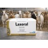 2 Laxoral 5*120 Grs Fermalab Laxante Oral