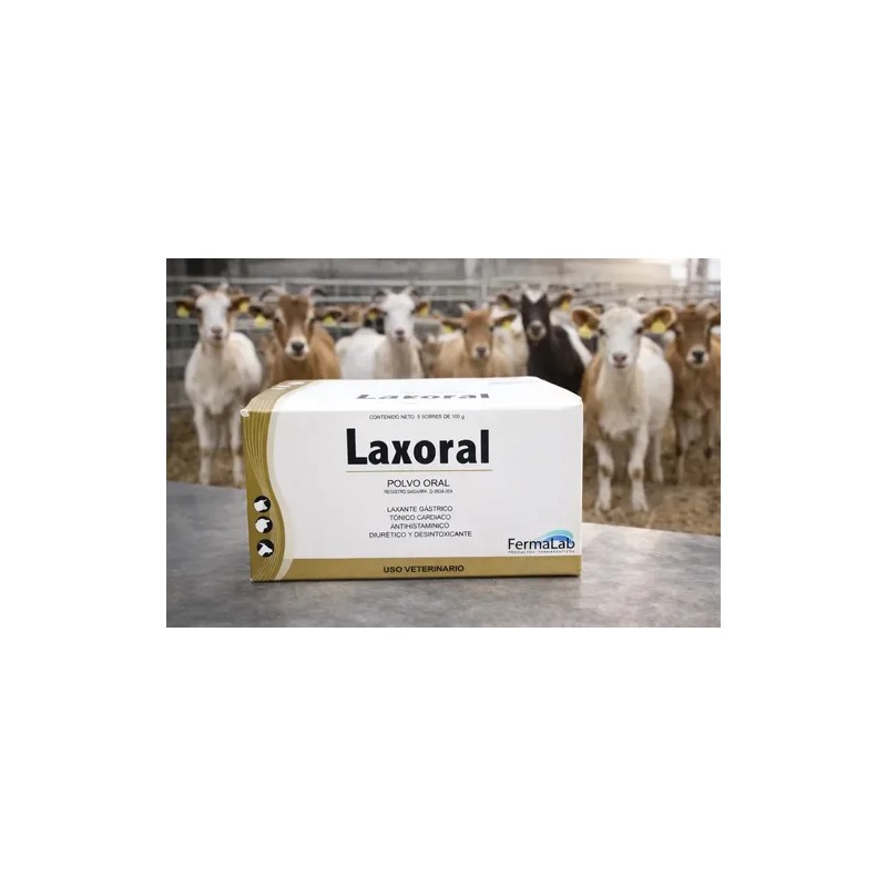 2 Laxoral 5*120 Grs Fermalab Laxante Oral