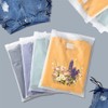 iDopick 30 Pack Frosted Zipper Bags for Clothes, Plastic Clear
