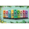 Original Source Original Source Shower Gel Bundle 250ml – Choose