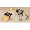 Dog Harness Deluxe Easy Grab Padded Handle with Reflective Strip