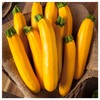 Everwilde Farms - 1 Lb Golden Zucchini Summer Squash Seeds