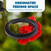 SunGrow SunGrow Betta Feeding Ring, Prevent Water Turbulence from Washing