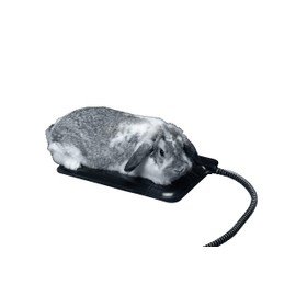 API Extra Small Small Heated Pet Mat- Machine Washable Electric Pet Mat, Great for Dogs, Cats, and Other Pets and Animals (Item No. 98P-XS)