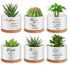 Mifoci 6 Pcs Bible Verse Succulent Pot Christian Bible Verse Gifts Set Ceramic Mini Floral Succulent Planters with Bamboo Tray 3 x 3 x 2 Inches Plant Pots Decorative for Garden Birthday