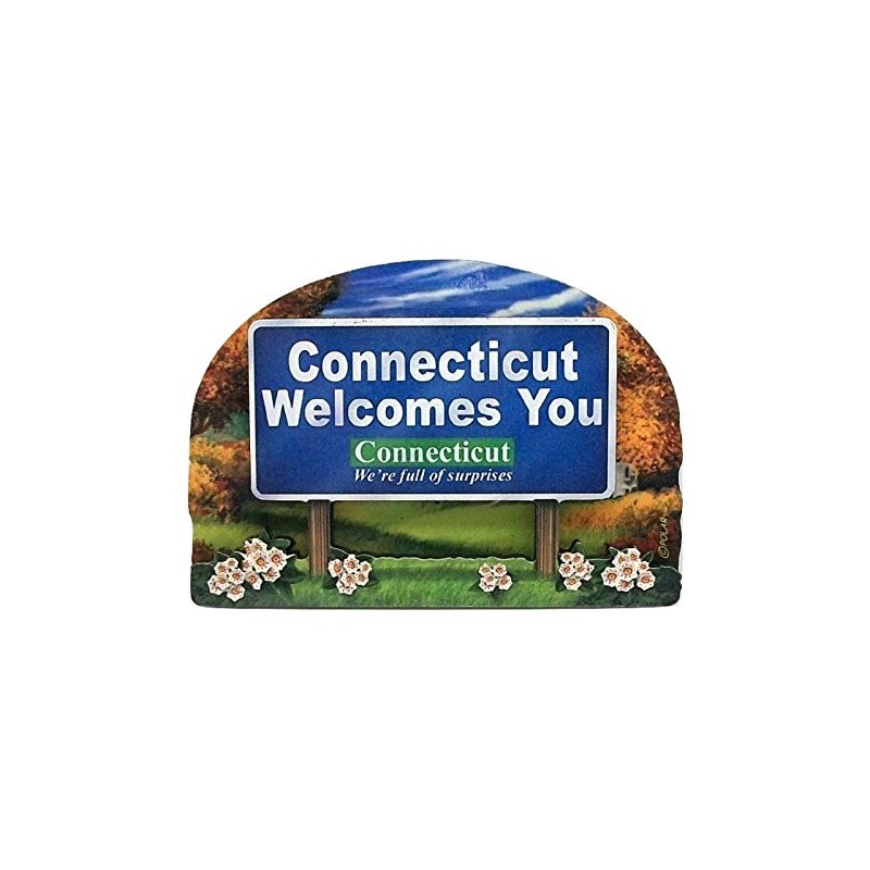 Connecticut State Welcome Sign Wood Fridge Magnet