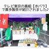 PON店 伊勢の和紅茶 ティーバッグ 30個入 チャック付き 袋入 紅茶 ギフト おしゃれ 紅ふうき