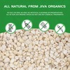 Jiva USDA Organics Urad Dal (Split Matpe Beans) 2 Pound