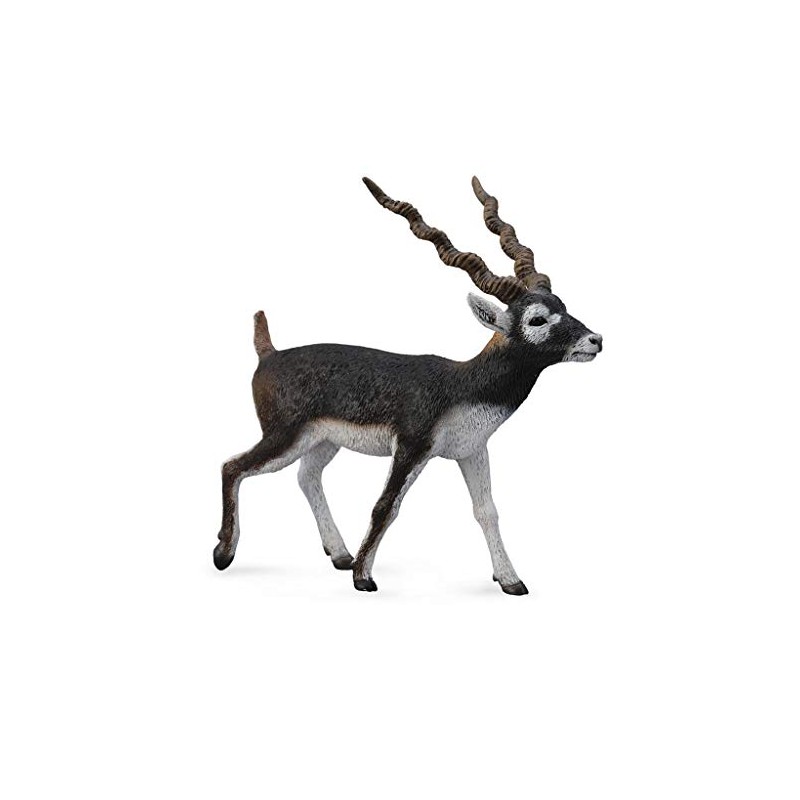 CollectA Blackbuck