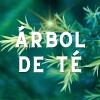 Tierra de Vida Jabón De Cúrcuma Jengibre Y Árbol De