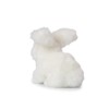 WWF Soft Toy Angora Rabbit (20 cm)