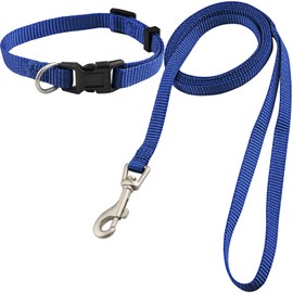 Dog Collar and Leash Set, Nylon Collar and Leash for Dogs Classic Solid Colors for Small Medium Large Dogs (XS, Collar 8-12", 3/8", Blue)