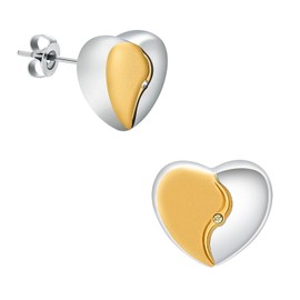 QGJNSGC Cremation Jewellery for Ashes Earrings for Ashes for Women Urn Keepsake Memorial Earrings Holder Earrings Jewellery Gift, Stainless Steel, Cubic Zirconia