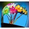 Real Dried Flower Clear Lucite Knob Handle Walking Stick with