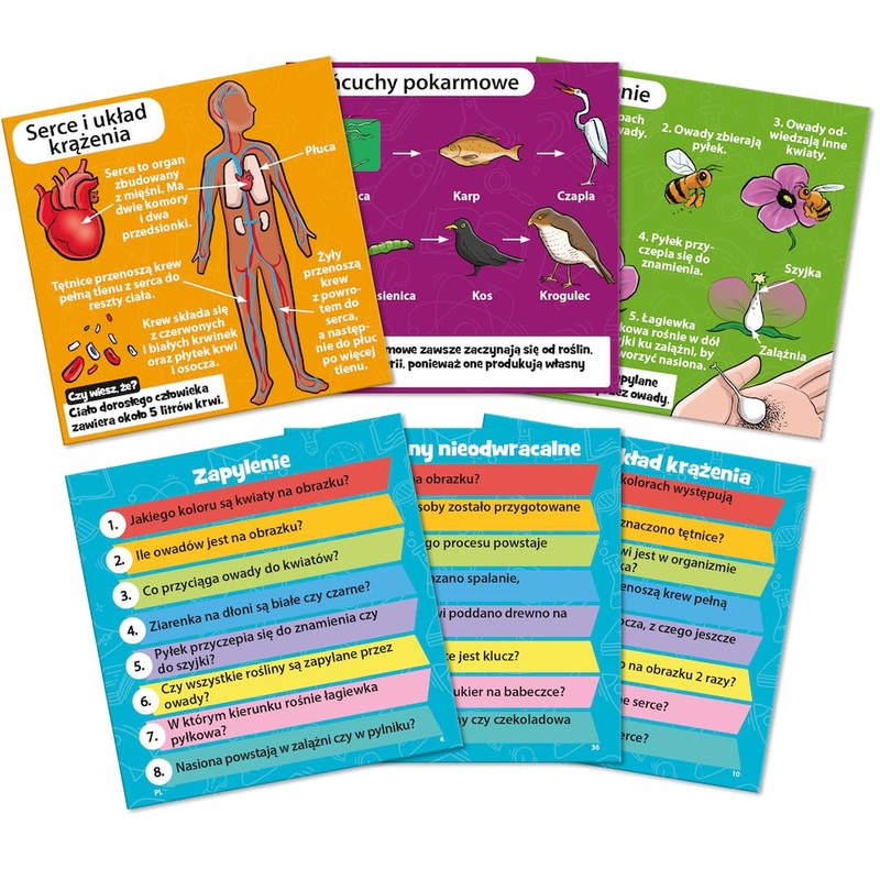 Bezzerwizzer, BrainBox - Science