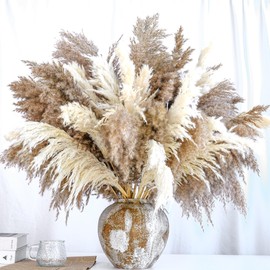 20 PCS Dried Flower, 30-inch Tall Nature Pampas Grass Bouquet Decor - Boho Flowers and Feathers for Centerpieces, Perfect for Tall Floor Vase Fillers, Living Room, and Wedding Decor(White, Natural)