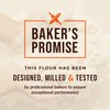 100% Organic Whole Dark Rye Flour - 25 lbs…
