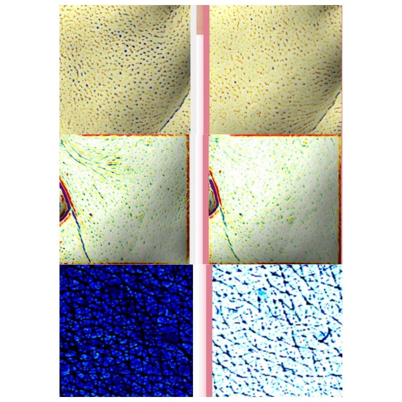 BIODANCE Pore Perfectiong Collagen Peptide Serum 30ml