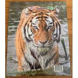 Back To School Skyline Products Back To School Dual Pocket "Lion" Folder-Brand New-SHIPS 24 HRS