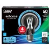 Feit Electric LED Clear A19 Medium Base Light Bulb -