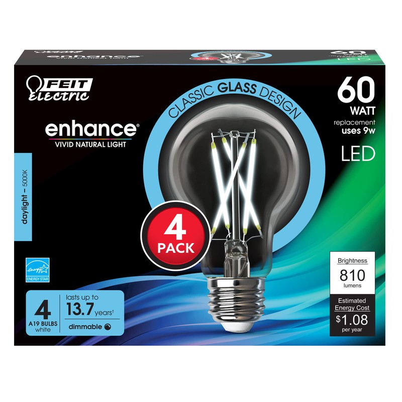 Feit Electric LED Clear A19 Medium Base Light Bulb -