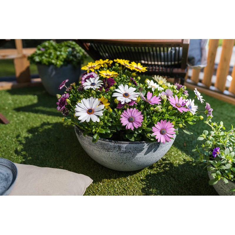 TS Planter Basket Cera Nova Mix Frost Resistant and Lightweight,