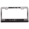 Custom Brother - Addicted to CHAYOTE Squash Food Vegetable Fruit