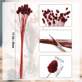 MIHUAGE 60pcs Red Dried Mini Pine Cone Ball Flowers with Stems 17" - Billy Ball Flowers for Vase, DIY Crafts and Home Decoration - Natural and Preserved Flowers for Fall, Wedding, Bridal Shower.