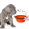 PETSATION Foldable Dog Bowl for On the Go [The Original]