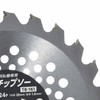 Takagi Earth Man TB-161 Grass Cutting Chip Saw for Electric